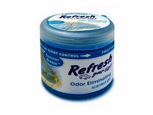 9966 Refresh Your Car® 4.5 oz. Gel Aromatizante Brisa de verano